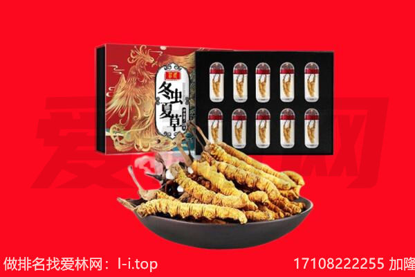 上海闸北区回收虫草.jpg
